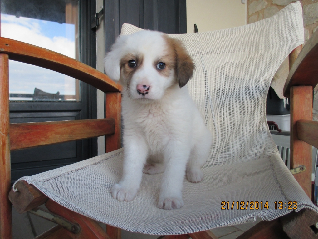 Marga